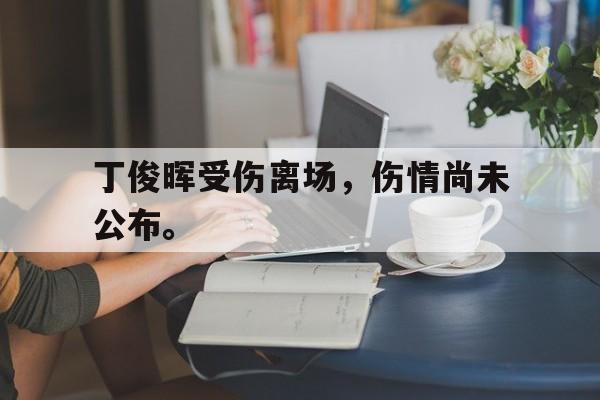 IM电竞官方网站下载-丁俊晖受伤离场，伤情尚未公布。